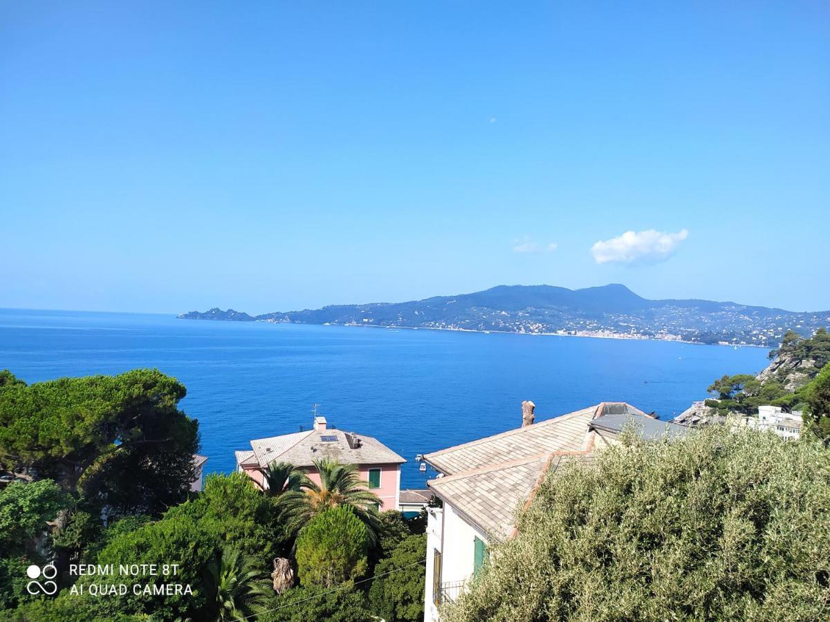 Vacanze Al Mare - Holiday At The Seaside Zoagli Ngoại thất bức ảnh